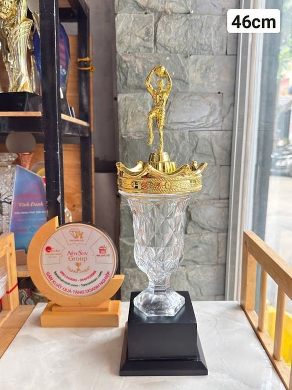 Cúp Bóng Rổ - Cúp Bóng Chuyền 14