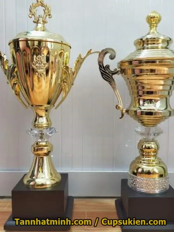 Cúp bóng đá thể thao ĐẸP VIP 13