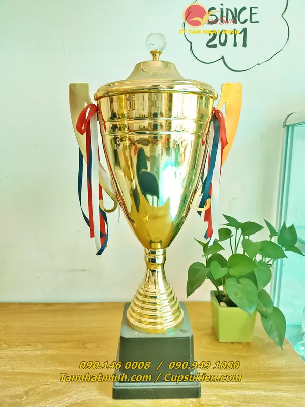 Cúp bóng đá thể thao ĐẸP VIP 17