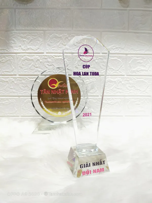 Cúp pha lê sản xuất VN - 31