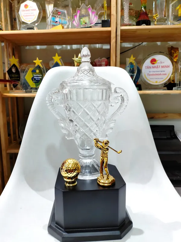 Cúp bóng đá pha lê ĐẸP (4)