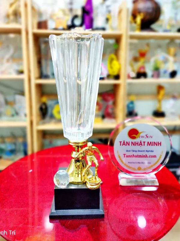 Cúp bóng đá pha lê ĐẸP (6)