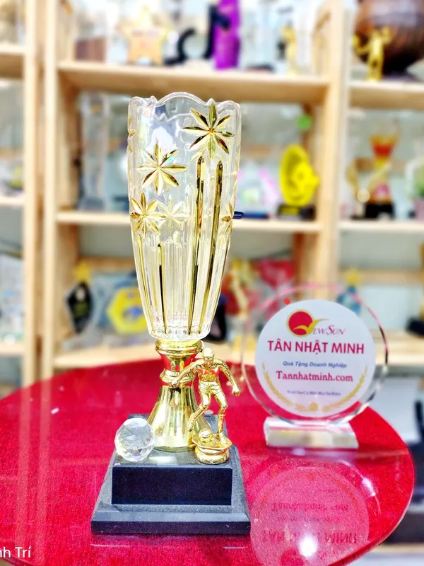 Cúp bóng đá pha lê ĐẸP (5)