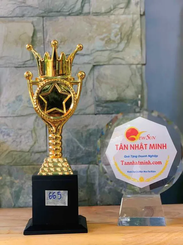 Đặt Mua Cúp Ấn Độ, Cúp Vinh Danh Lưu Niệm Đẹp (665)