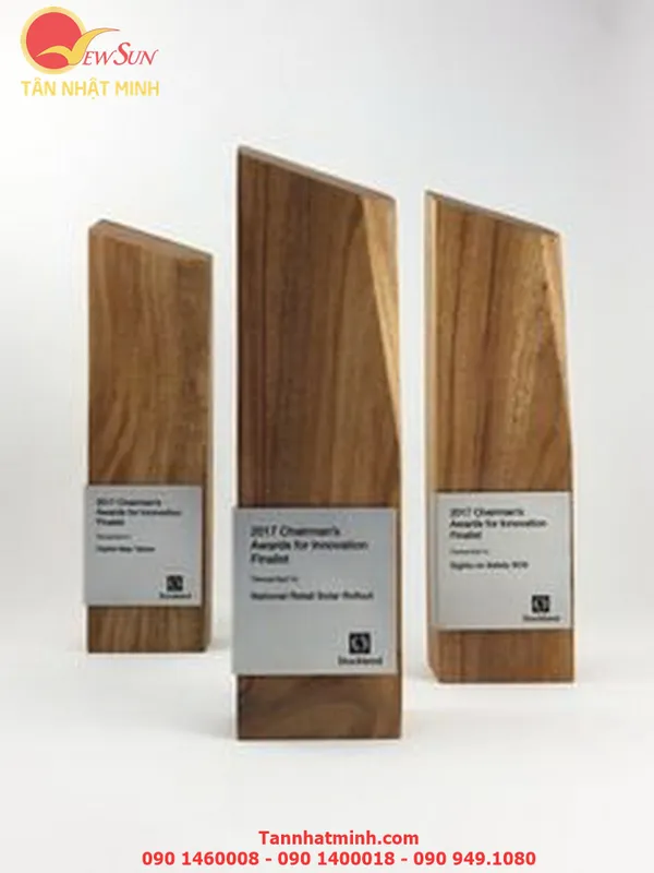 Cúp vinh danh SIÊU ĐẸP - 29