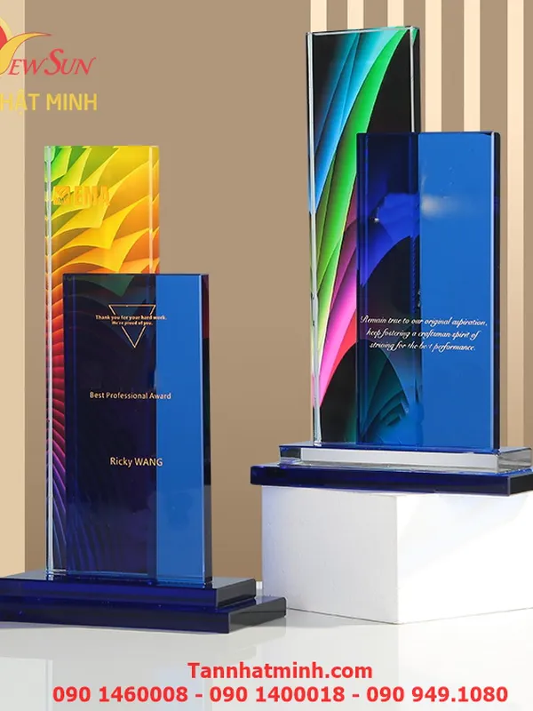 Cúp vinh danh SIÊU ĐẸP -19