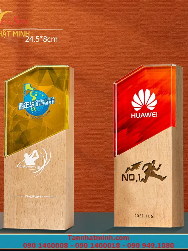 Cúp vinh danh SIÊU ĐẸP - 9