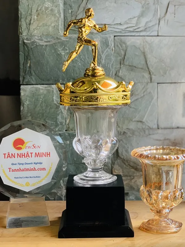 Cúp Chạy Bộ Pha Lê (5)