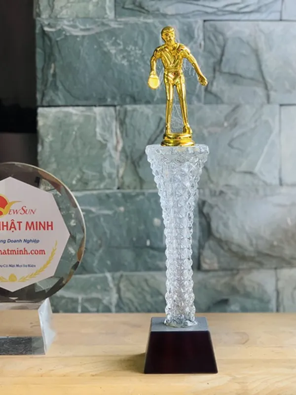 Cúp  Pha Lê Bóng Bàn (7)