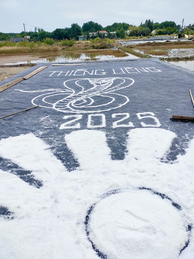 Tour đảo Thiềng Liềng Cần Giờ đi bằng du thuyền trong ngày