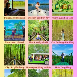 Tour du lịch Vàm Sát Cần Giờ du ngoạn bằng cano trong ngày 