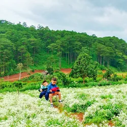 Tour đà lạt 1 ngày khởi hành hằng ngày giá rẻ 