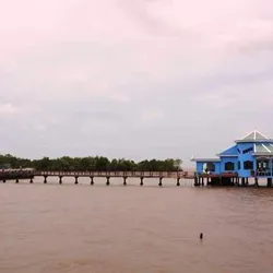  KHU DU LỊCH SINH THÁI MŨI CÀ MAU HỢP TÁC !