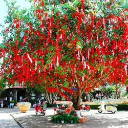 TOUR SÀI GÒN ĐÀ LẠT 4 NGÀY 3 ĐÊM