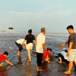 Tour Du lich Gò Công biển Tân Thành 1 Ngày