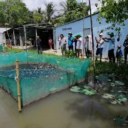 Tour Cồn Sơn Cần Thơ 1 buổi