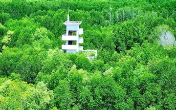 Giá vé khu du lịch Dần Xây Cần Giờ mới nhất 2025