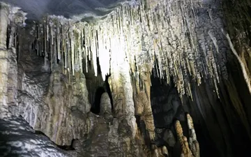 Trải nghiệm du lịch quảng bình hang vòm hang giếng voọc