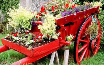 Đi du lịch đà lạt tết 2019 có gì vui ?