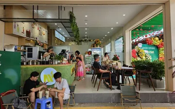 Trạm Dừng Chân Nhà Xanh Cần Giờ - Điểm đến Xanh Mát Lý Tưởng Khi Du Lịch Cần Giờ