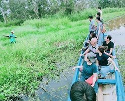 Tour rừng U Minh 1 ngày U Minh Hạ - Hương Tràm Cà Mau