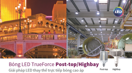 Cung cấp ánh sáng dịu nhẹ chất lượng của đèn LED TrueForce Cung cấp ánh sáng dịu nhẹ chất lượng của đèn LED TrueForce