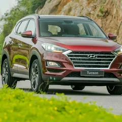 Bảng tra chân bóng đèn Philips cho tất cả các loại xe hơi - xe ô tô 2019