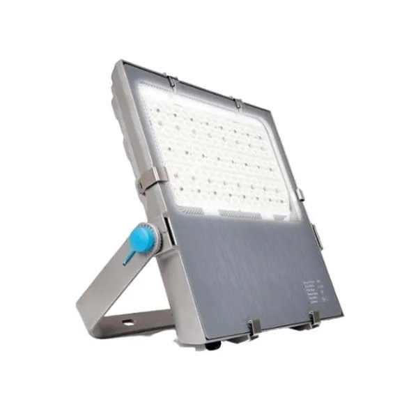 Đèn pha LED The CityLight Floodlight CTF38XP