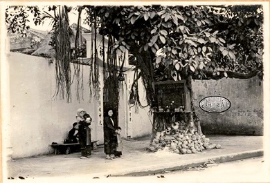 buc-tuong-voi-dong-chu-cam-dai-o-mot-goc-pho-ha-noi-xua Bức tường với dòng chữ cấm đái ở một góc phố Hà Nội xưa