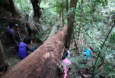 dan-lang-nguoi-a-rem-vao-rung-san-ruou-doac Dân làng người A Rem vào rừng săn rượu đoác