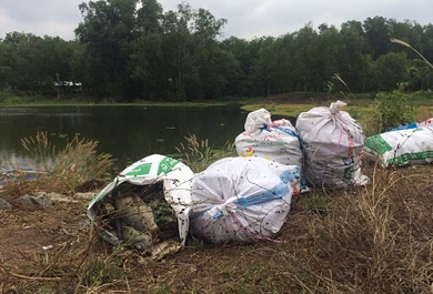 hang-tan-ca-da-chet-trong-nhung-ngay-qua Hàng tấn cá đã chết trong những ngày qua