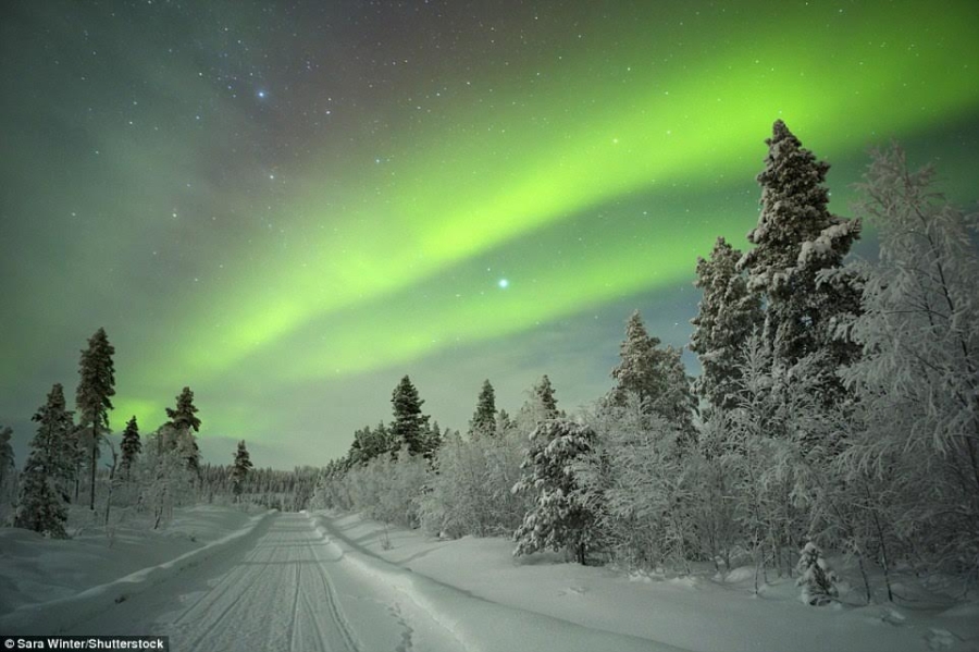 lapland-phan-lan Lần theo dấu vết xe trượt tuyết của ông già Noel, một chuyến đi tới Lapland (Phần Lan) vào tháng 2 là thời điểm hoàn hảo để ngắm bắc cực quang.