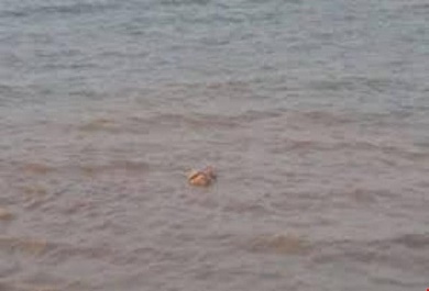 phat-hien-mot-phan-chan-phu-nu-troi-song phat-hien-mot-phan-chan-phu-nu-troi-song