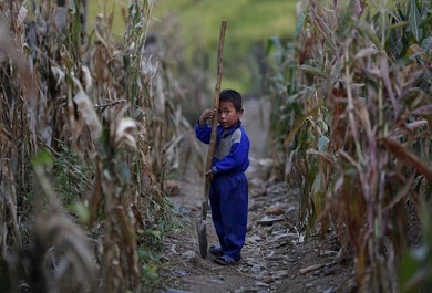 tam-ly-y-lai-bat-nguon-tu-su-luoi-nhac Tâm lí ỷ lại bắt nguồn từ sự lười nhác. Đặc biệt là ở trẻ em, nếu ngay từ nhỏ, chúng đã được bố mẹ, mọi người giúp đỡ quá nhiều, sẽ hình thành nên tâm lí ỷ lại và tính lười nhác.