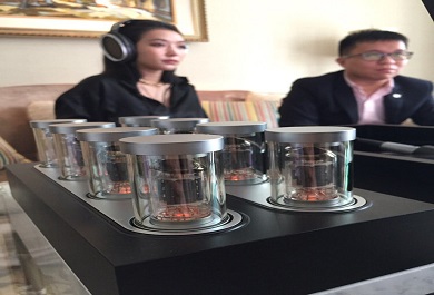 tam-ong-chan-khong-amplifier-den-di-kem-tai-nghe-sennheiser-he1 Tám ống chân không amplifier đèn đi kèm tai nghe Sennheiser HE1