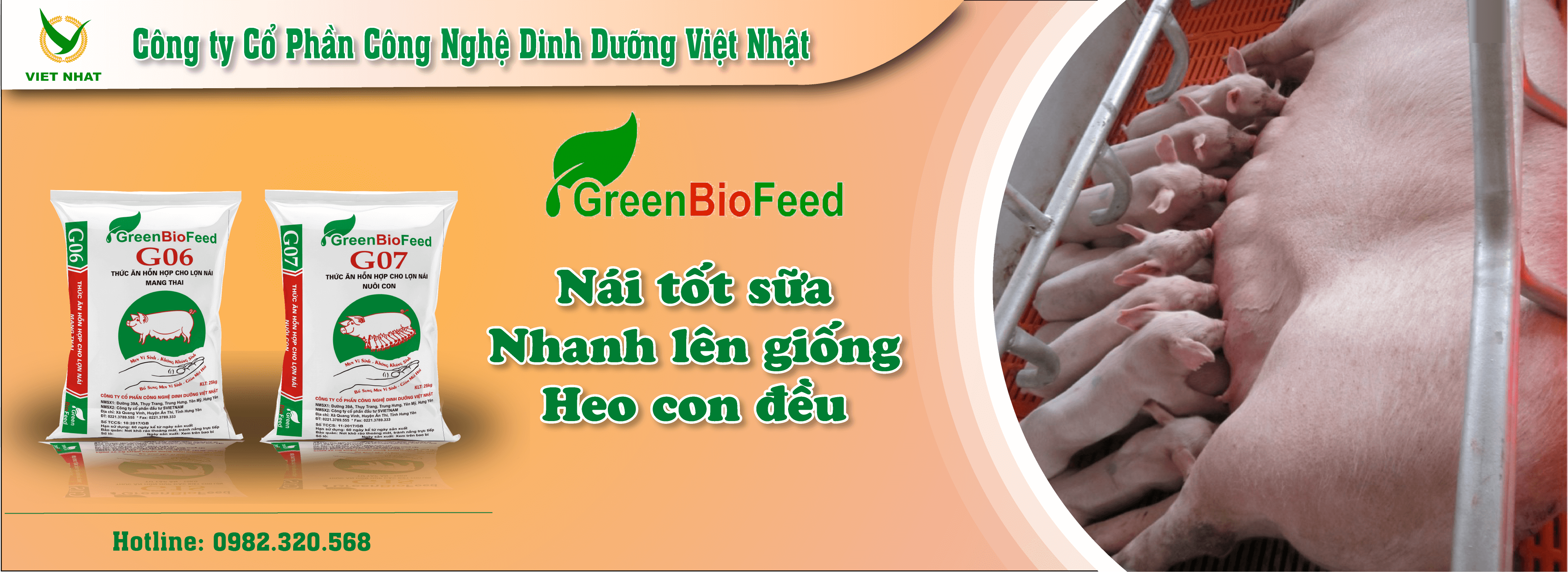Bộ sản phẩm cám lợn nái GreenBiofeed