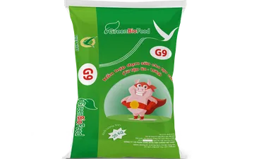 Greenbiofeed - Viet Nhat Group ra mắt sản phẩm cám lợn con mới  