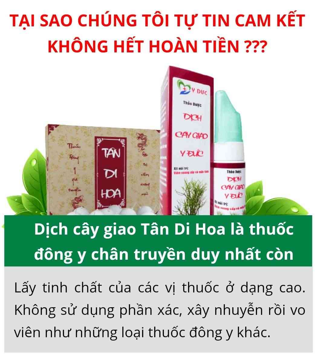 Dịch cây giao Tân Di Hoa là thuốc Đông y chân truyền