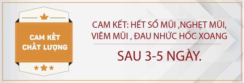 Dứt nhanh sổ mũi, nghẹt mũi, viêm mũi và loại bỏ tác nhân sâu xa của bệnh