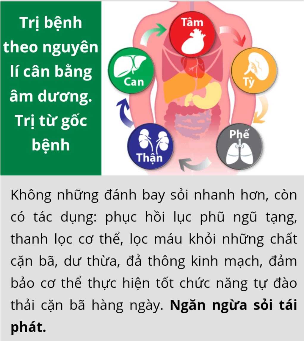 An Thận Vương trị bệnh theo nguyên lý cân bằng âm dương