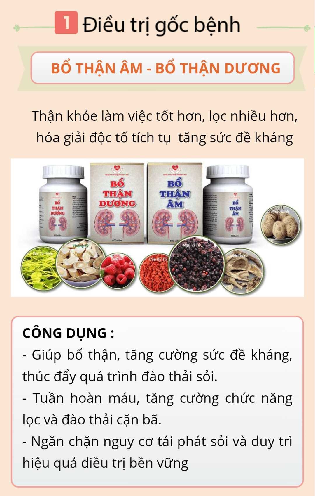 Bổ thận âm, bổ thận dương điều trị tận gốc bệnh sỏi