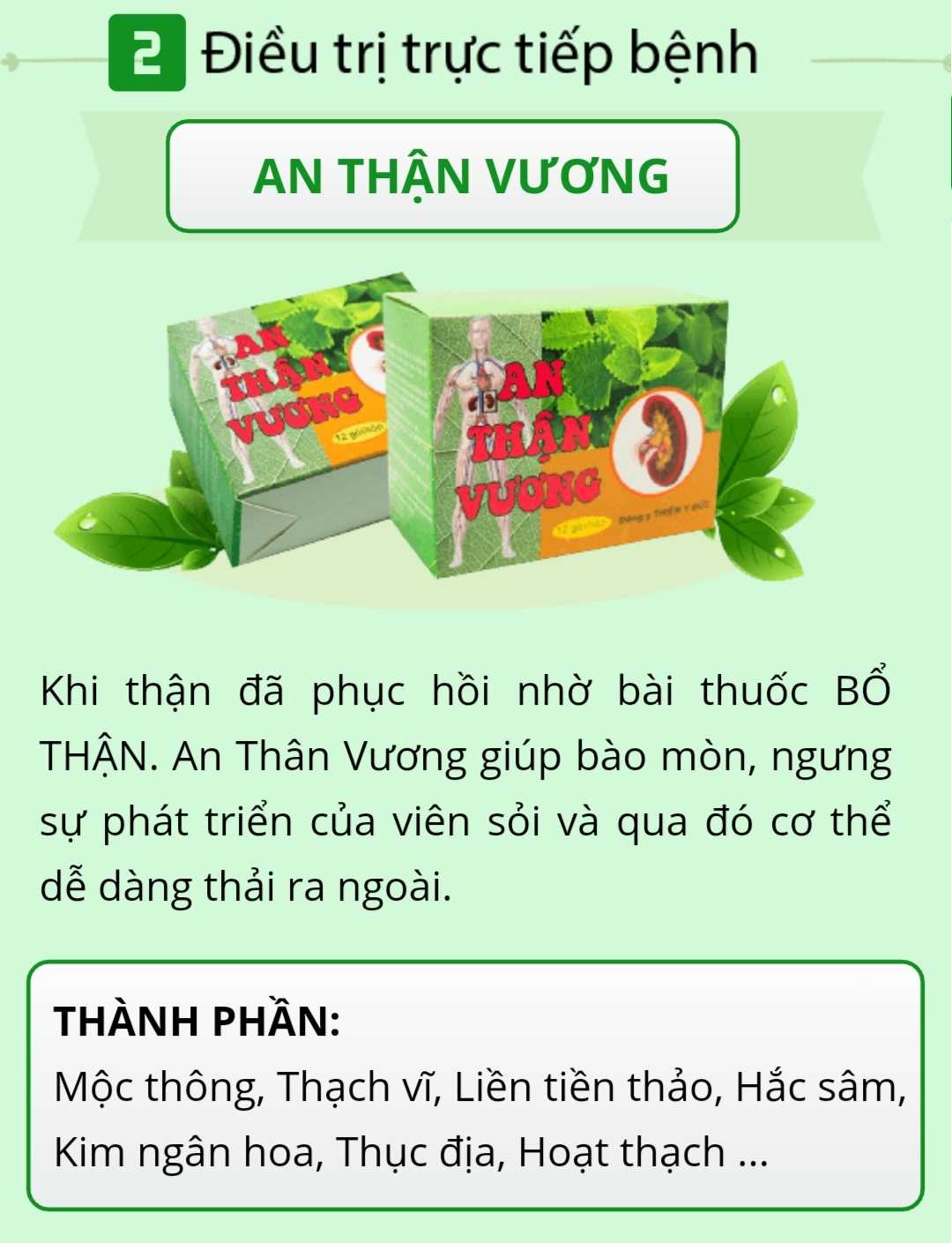 An Thận Vương - Giải Pháp Tối Ưu Cho Sức Khỏe Thận