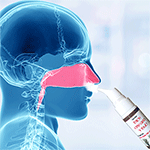 Ngoài xịt, trong uống, kháng viêm, tái tạo niêm mạc xoang