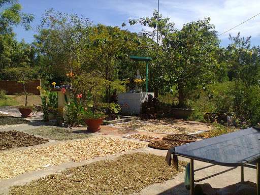 phoi thuoc nam thuoc bac khap san nha