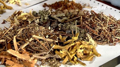 Thuốc nam chữa sỏi thận