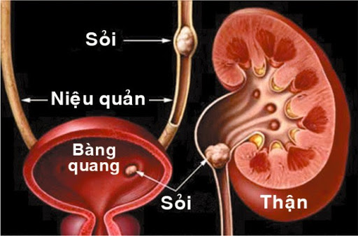soi than nieu quan bang quang mat