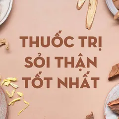 ĐỒNG HÀNH cùng Y DƯỢC SĨ tìm ra thuốc trị sỏi thận hiệu quả nhất 2021