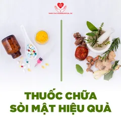 3 VẤN ĐỀ CẦN HIỂU để dùng thuốc chữa sỏi mật hiệu quả NHƯ Ý MUỐN