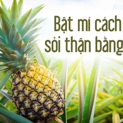 HIỆU QUẢ TUYỆT ĐỐI với cách trị sỏi thận bằng quả thơm MỚI NHẤT