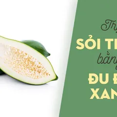 TỔNG HỢP quá trời cách chữa sỏi thận bằng đu đủ xanh 2021